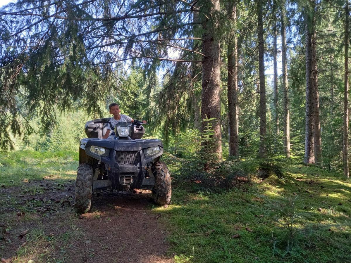 Eco Resort Nad Karpatamy Hrobyshche Dış mekan fotoğraf